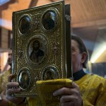 IMG 5749 150x150 Богослужіння у ставропігійному Монастирі